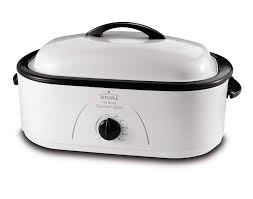 Best Roaster Ovens in 2024 10