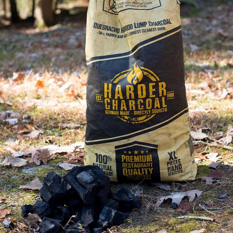 Best Lump Charcoal For Big Green Egg 3