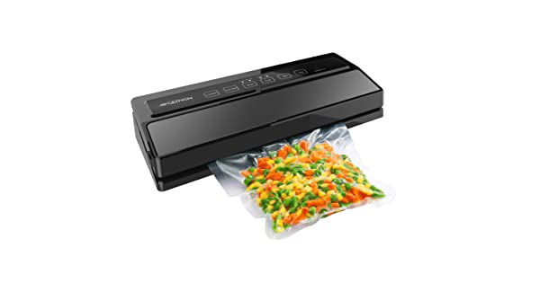 Best Vacuum Sealers For Fish And Games 6