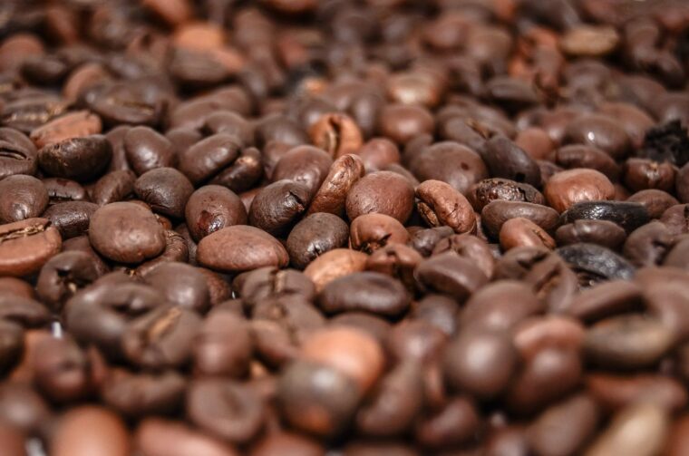 5 Useful Tips for Maintaining Your Coffee Maker at Home 2