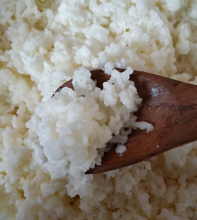 Buy Milk Kefir Grains Online India | 25% Discount & Buy 2 Get 1 Free Offer