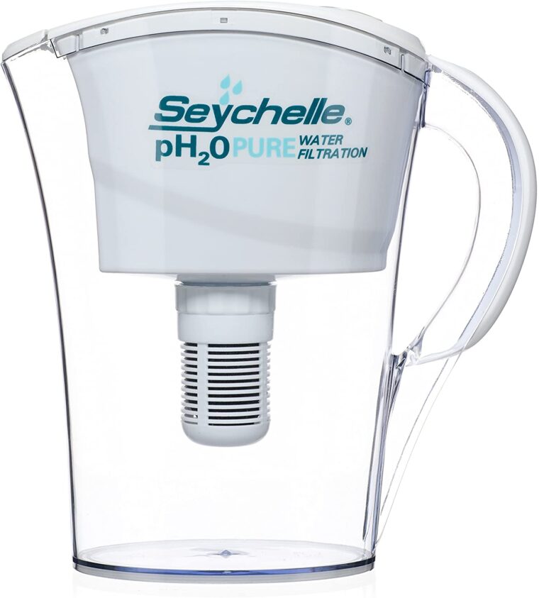 Best Water Filter Pitcher For Well Water 6