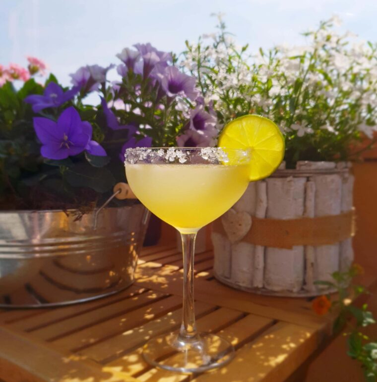 What Are The Best Margarita Mixes For Your Machine Twin Stripe