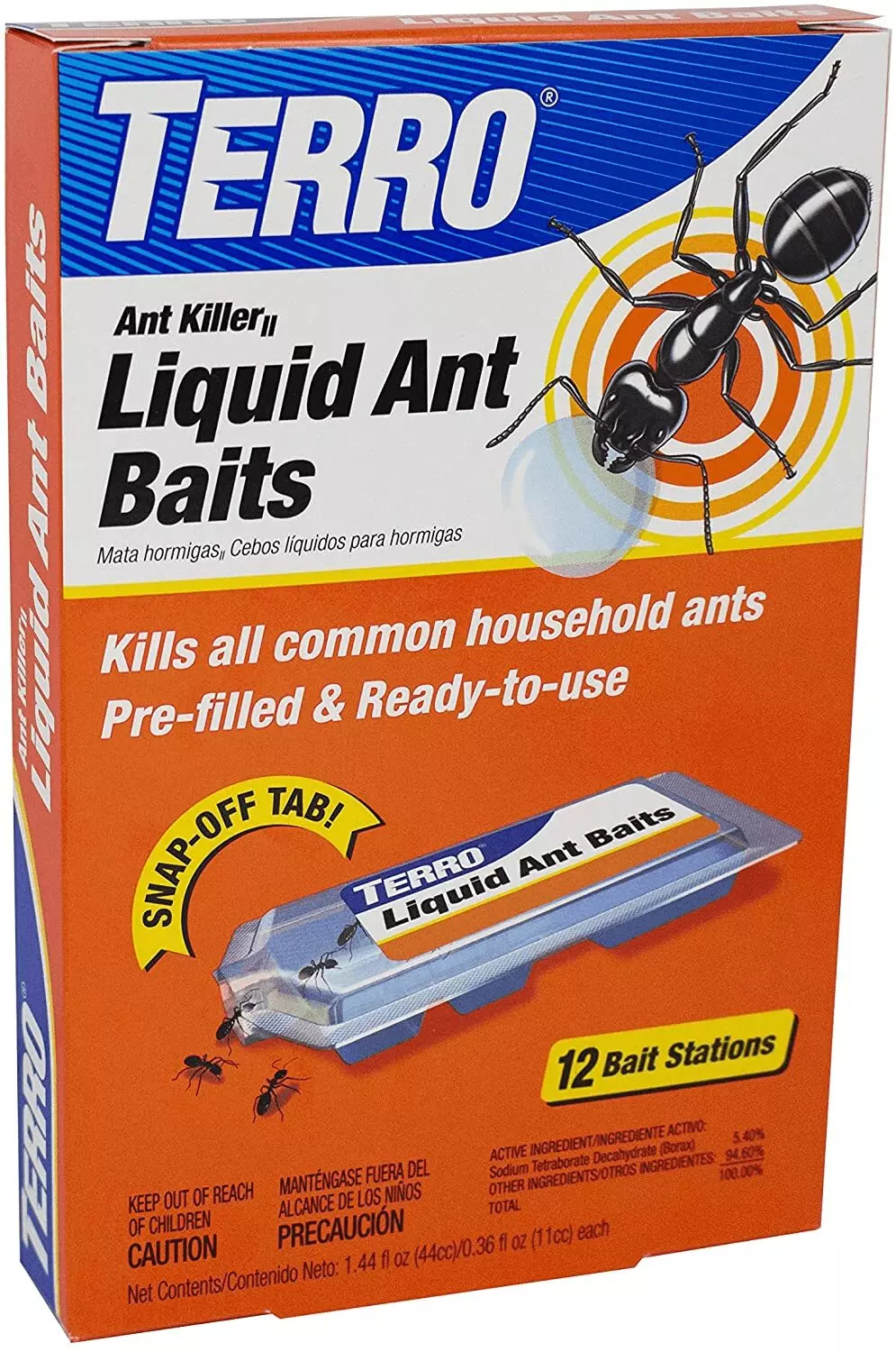 What Are The Best Ant Traps For The Kitchen? Twin Stripe