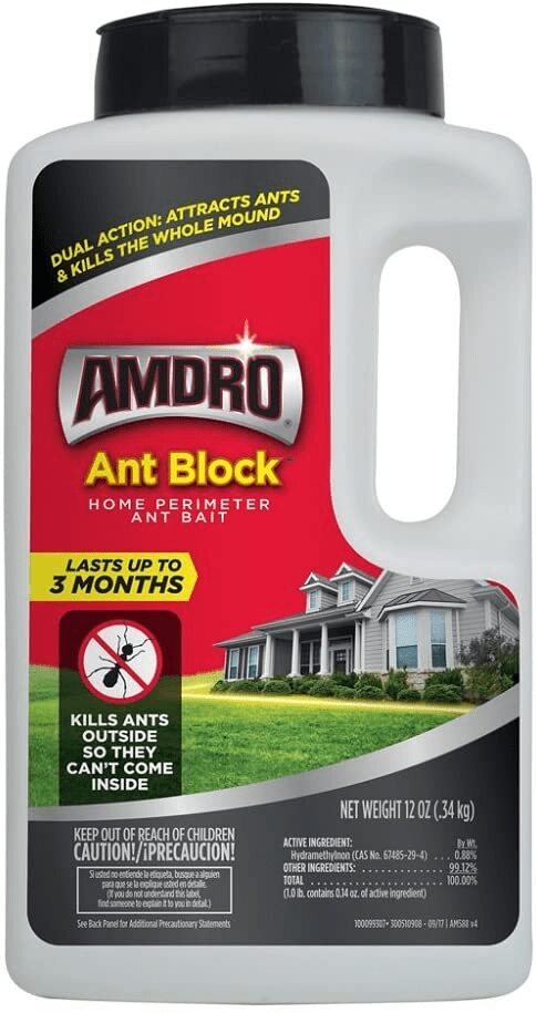 What Are The Best Ant Traps For The Kitchen? 3