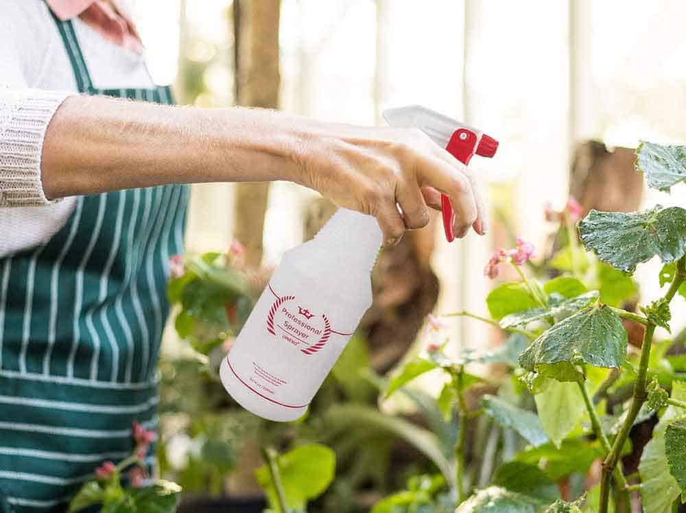 Best Spray Bottles in 2024 1