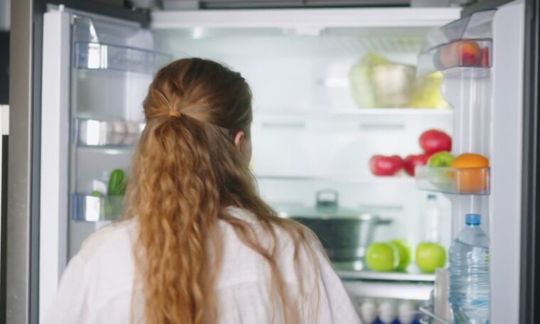 How Long Does It Take a Refrigerator to Get Cold? 3