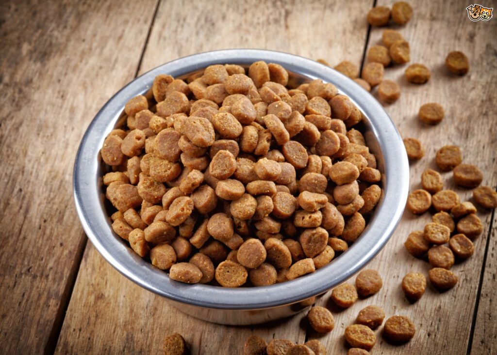 Can You Cook The Same Food For You And Your Dog? 1