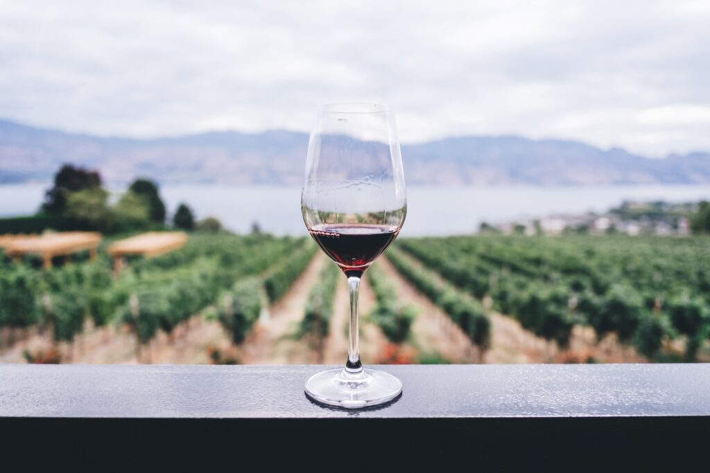 7 Creative Ways To Drink Wine In 2024 1