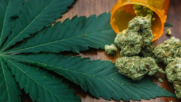How to Make a Delicious Cannabis Cupcake Easily 1