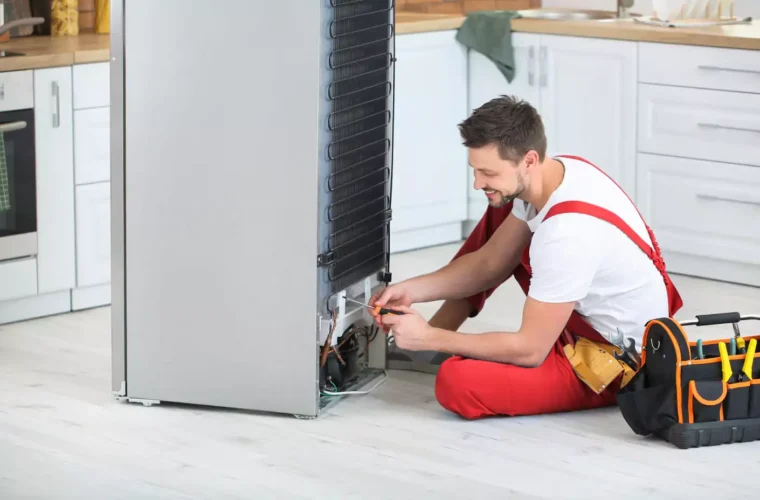 Electrolux Refrigerator Repair: Things You Need to Know 3