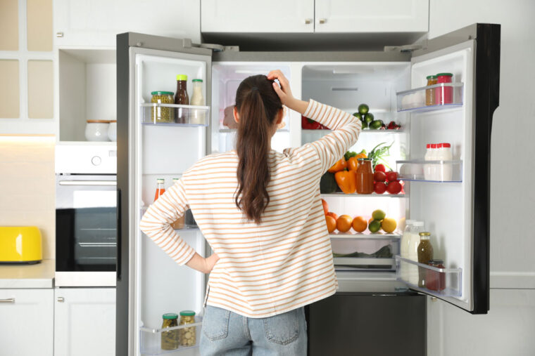 Electrolux Refrigerator Repair: Things You Need to Know 2